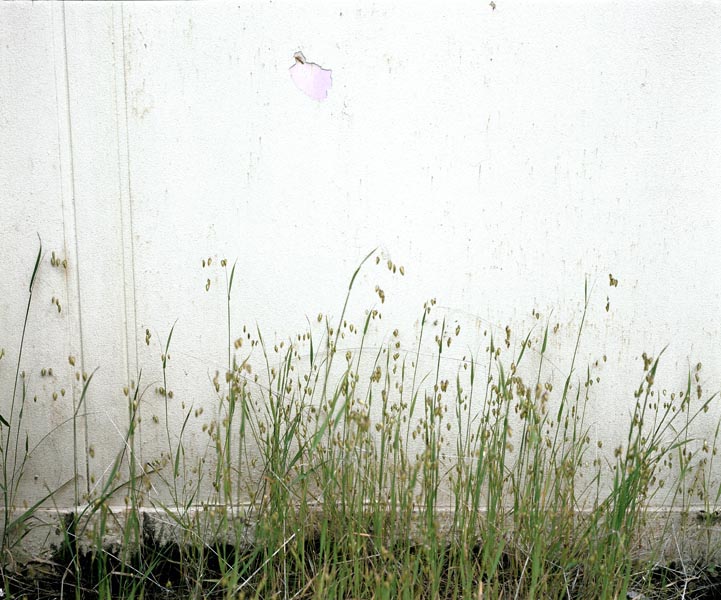 Enclusa - Manuel Pinar